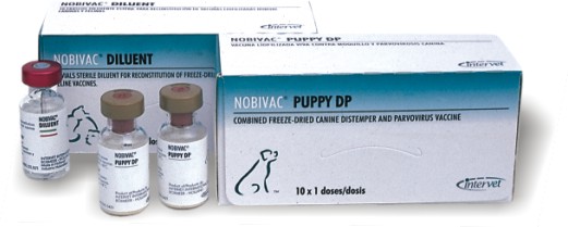 nobivac puppy dp vaccine
