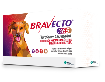 Bravecto® 365 | Información para veterinarios