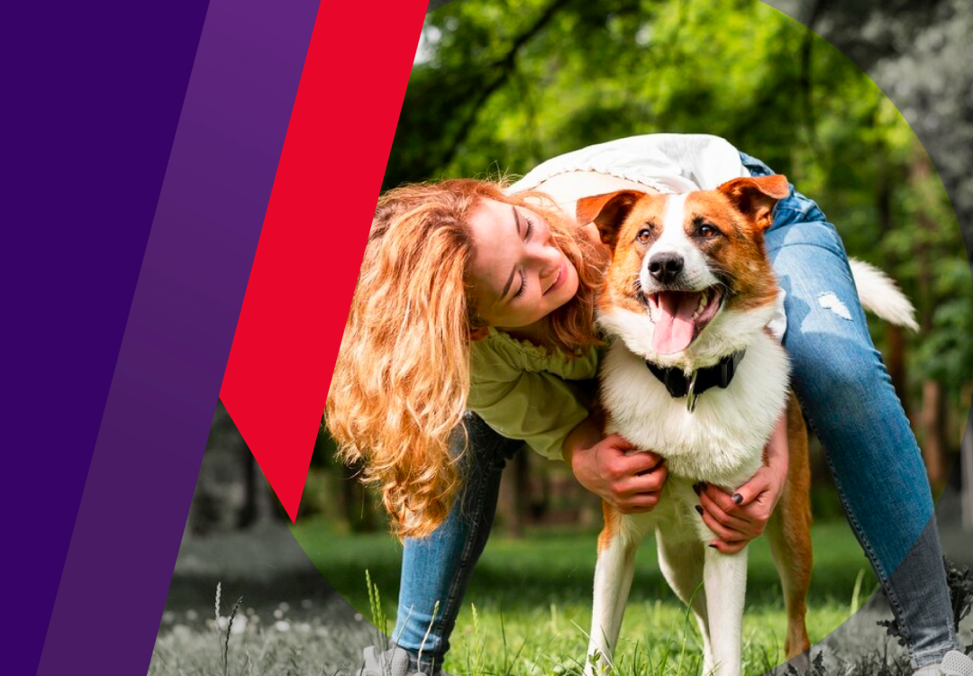 Bravecto MSD Salud Animal Perú