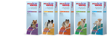 Bravecto® 1M Triple